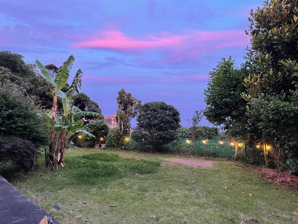Guesthouse Papaya شيمودا المظهر الخارجي الصورة