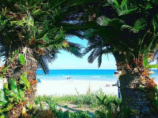 Guesthouse Papaya شيمودا المظهر الخارجي الصورة